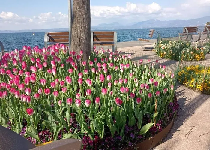 Francesca's Appartement